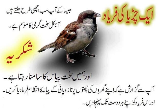 Aik Chidya Ki Faryaad