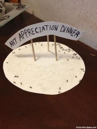 Ant Appreciation Dinner