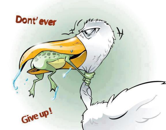 Don't ever give up - Miscellaneous Images & Photos