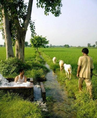 village life in pakistan essay