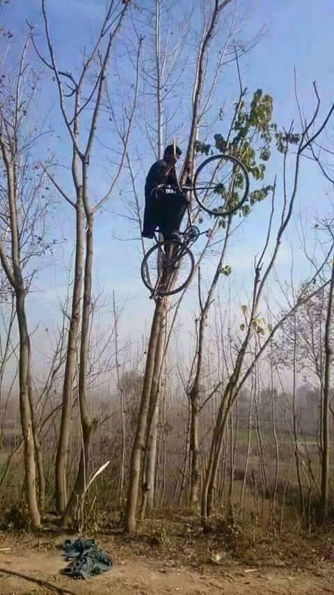 Meanwhile in Pakistan