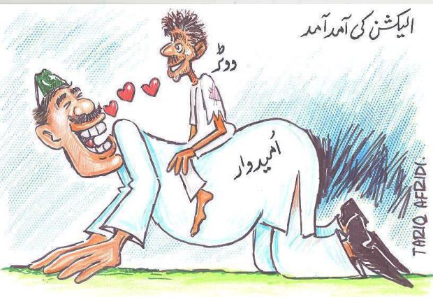 True Story of Leader