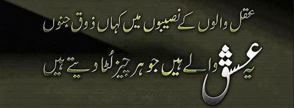 Aqal Walon Kai Naseebon Me Kahan Zauq Junoon