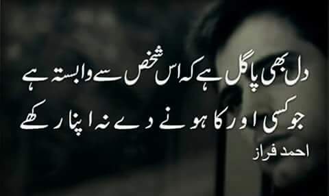 Dil Bhi Pagal Hai Is Shaks Se Wabasta Hai