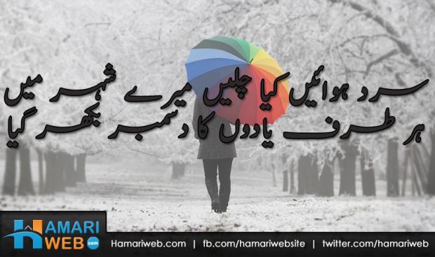 Har taraf Yaadon Ka December Bikhar Gaya