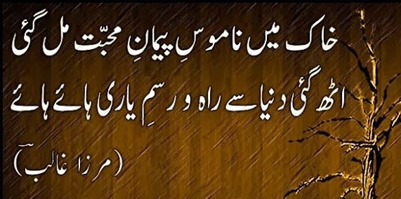 Image Result For Urdu Quotes Hamariweb