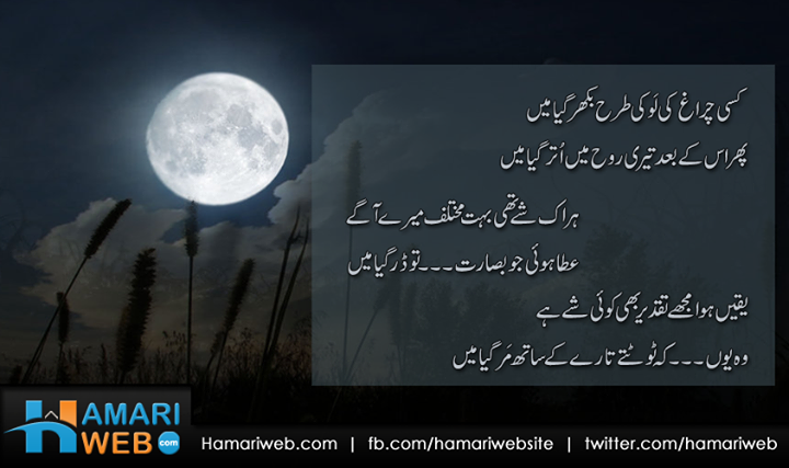 Kisi Chirag Ki Lau Ki Tarah Bikhar Gaya Main