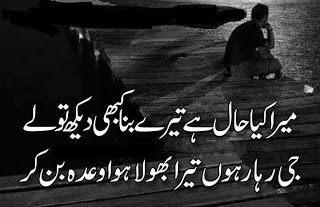 Mera Kya Haal Hai Tere Bina Kabhi Dekh Tou Lai