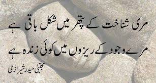 Meri Shanakht Kai Pathar Me Shakal Baqi Hai