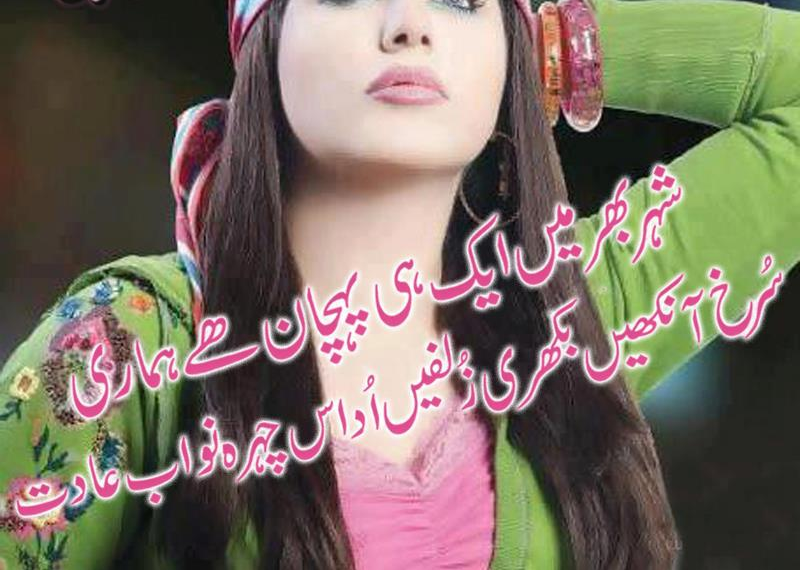 Shaher Bhar Me Ek Hi Pechan Hai Hamari