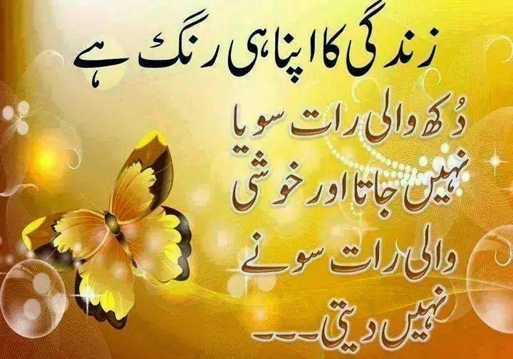 Zindagi Ka Apna Hi Rang Hai