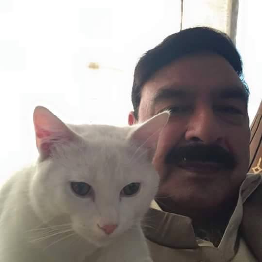 Sheikh Rasheed Selfie With Cat