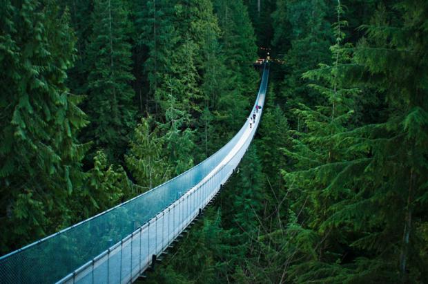 The Capilano Suspension Bridge In Vancouver