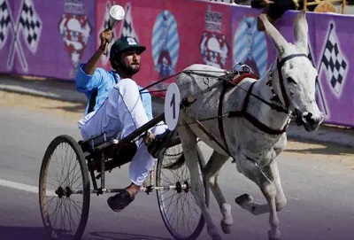 Sindh Declares Donkey Cart Racing As Its 'Cultural Sport'