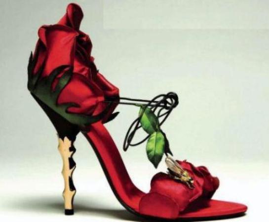 Rose Shoes